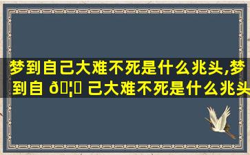 梦到自己大难不死是什么兆头,梦到自 🦅 己大难不死是什么兆头解梦